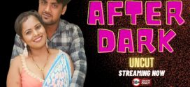 After Dark (2024) Uncut NeonX Originals Short Film 720p WEB-DL H264 AAC 500MB Download