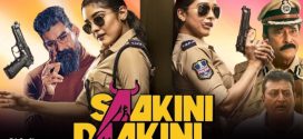 Saakini Daakini 2024 Hindi Dubbed Movie 720p WEBRip 1Click Download